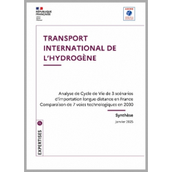 Transport international de l'hydrogène et ses dérivés - synthèse