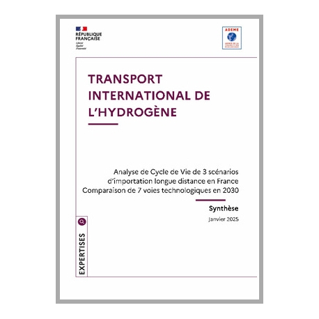 Transport international de l'hydrogène et ses dérivés - synthèse