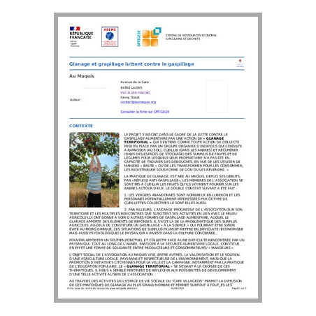 Glanage et grapillage luttent contre le gaspillage