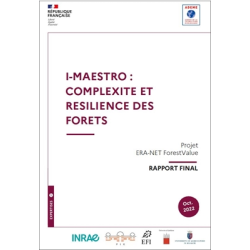 I-MAESTRO : Complexité et...