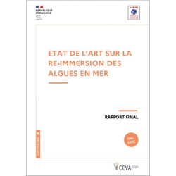 Etat de l'art de la...