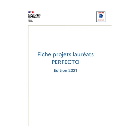 Résumé des projets lauréats de l'édition PERFECTO 2021