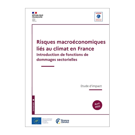 Risques macroéconomiques liés au climat en France, Introduction de fonctions de dommages sectorielles