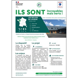 Les Délices de Louison -...