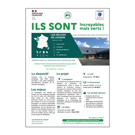 Les Délices de Louison - "Incroyables mais verts !"