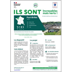 Port-Brillet - "Incroyables...