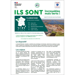 FLORENTAISE - "Incroyables...