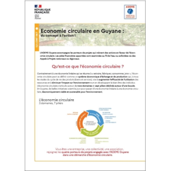 Economie circulaire : du...