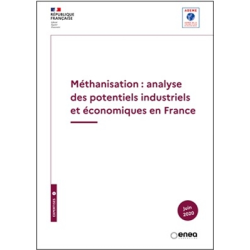 Méthanisation : analyse des...