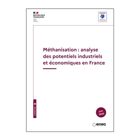 Méthanisation : analyse des potentiels industriels et économiques en France