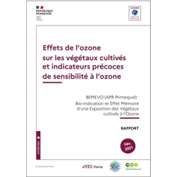 Effets de l'ozone sur les...