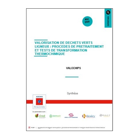 Valorisation de déchets verts ligneux : procédés de prétraitement et tests de transformation thermochimique