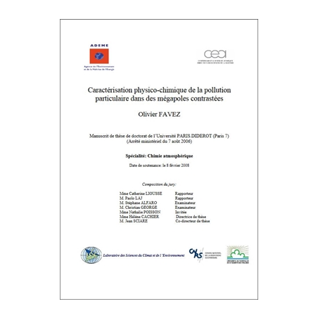 Caractérisation physico-chimique de la pollution particulaire dans les mégapoles contrastées