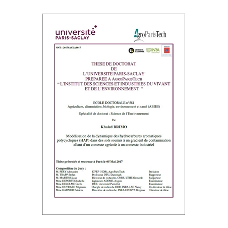 Modélisation de la dynamique des hydrocarbures aromatiques polycycliques (HAP) 