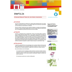 ENAFILIA