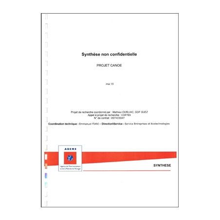 Intégration de nouvelles techniques performantes bas-NOx, dites d'"oxydation sans flamme" dans des chaudières au gaz
