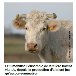 EPS