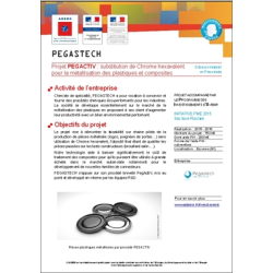PEGACTIV