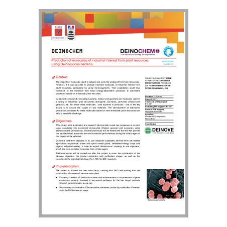 DEINOCHEM - en