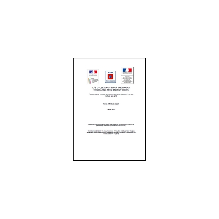 Life cycle analysis of the biogas originating from energy crops