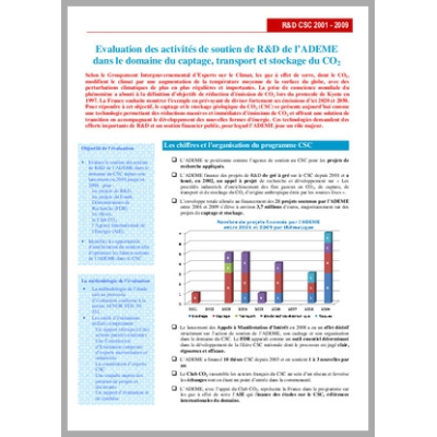 Programme "Captage, transport et stockage du CO2" - Rapport d'évaluation des activités de soutien de R&D de l'ADEME dans le doma