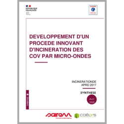 Développement d'un procédé...