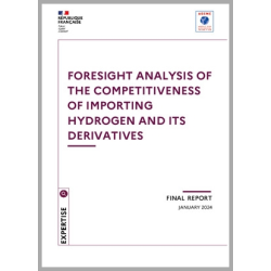 Foresight analysis of the...