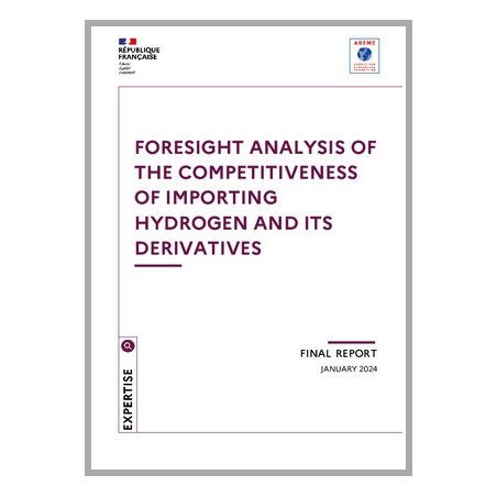 Foresight analysis of the competitiveness of importing hydrogen and its derivatives