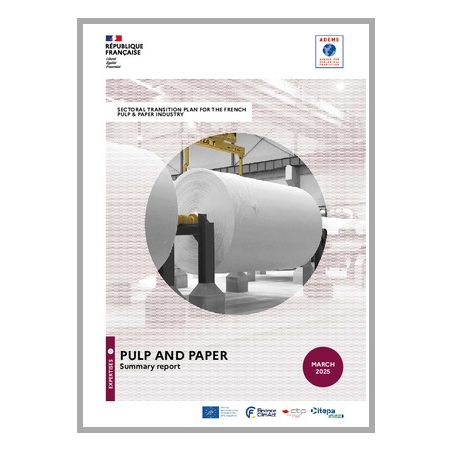 Sectoral transition plan for the french pulp and paper industry - summary report