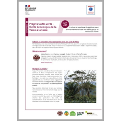 Projet Cafés Verts : cafés...