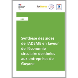 Synthèse des aides de...