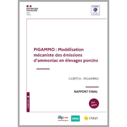 PIGAMMO - Modélisation...