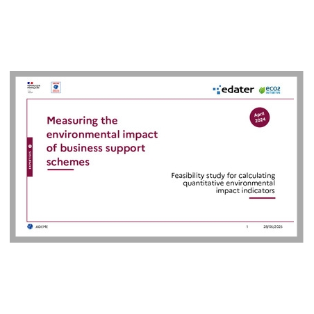Mesuring Environmental Impact of Business Support Schemes