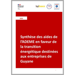 Synthèse des aides de...