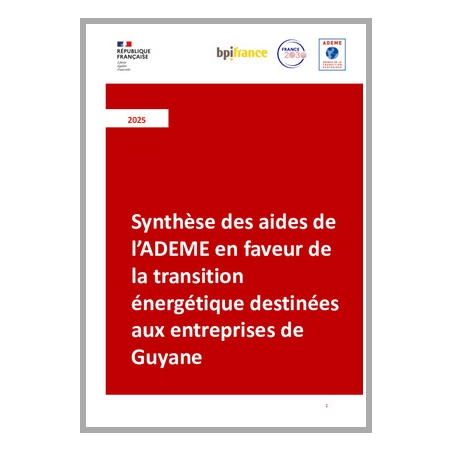 Synthèse des aides de l'ADEME en faveur de la transition énergétique destinées aux entreprises de Guyane