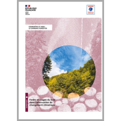 Forêts et usages du bois...