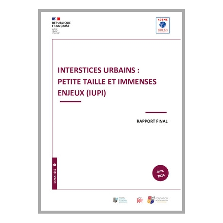 Projet de recherche IUPI