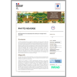 PHYTO REVERSE -...
