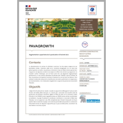 PAVAGROWTH - Augmentation...