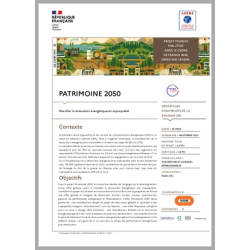 PATRIMOINE 2050 - Massifier...