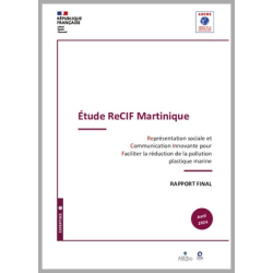 Représentation sociale et...