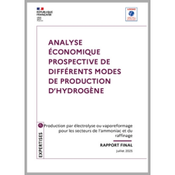 Analyse économique...