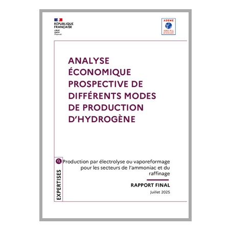 Analyse économique prospective de différents modes de production d'hydrogène