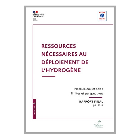 Ressources nécessaires au déploiement de l'hydrogène
Métaux, eau, sols : limites et perspectives