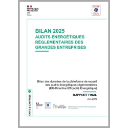 Bilan 2025 Audits...