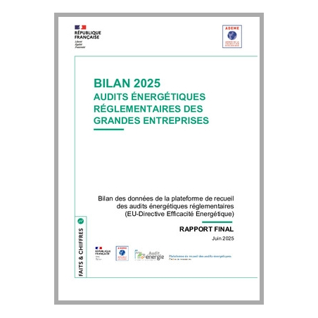 Bilan 2025 Audits énergétiques réglementaires des grandes entreprises