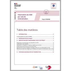 VITAMINE - Valorisation de...