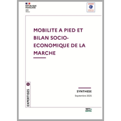 Mobilité à pied et bilan...