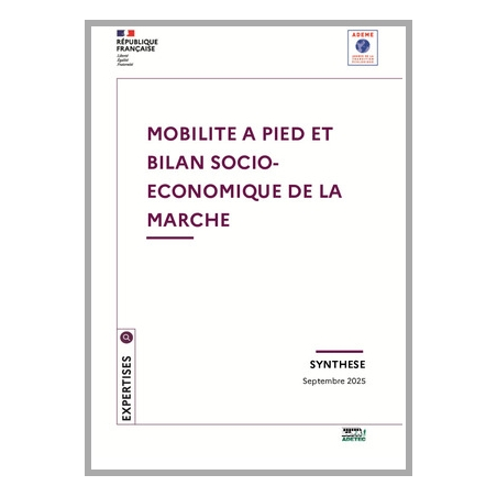 Mobilité à pied et bilan socio-économique de la marche 