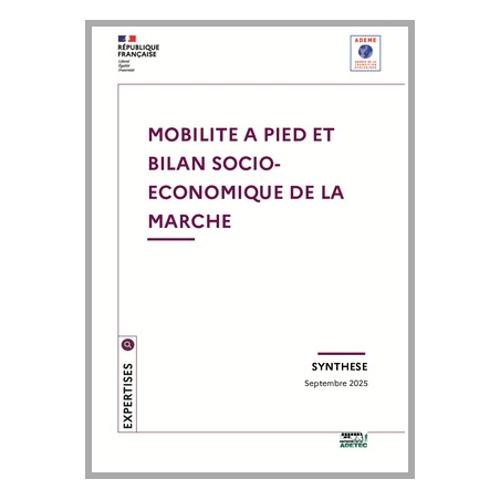 Mobilité à pied et bilan socio-économique de la marche 